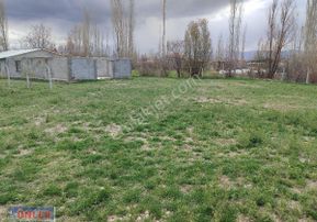 Alhan Mahallesi İçinde Hazır Kurulu Düzen Çiftlik