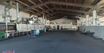 Satılık Teneke Kutu Fabrikası Şirketi Ve 90 Dönüm Arsası İle Birlikte Devredilecektir