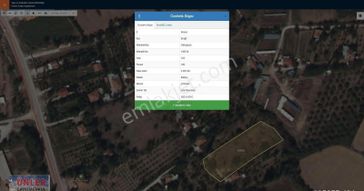 Sarıca İle Tont Arasında Tek Tapu Elektrik Ve Su Olan Yerde Satılık Bahçemiz