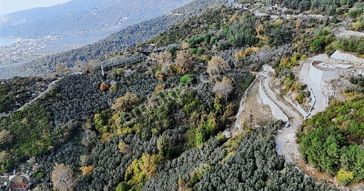 Aycan Gayrimenkulden Ocaklar Mah Satılık 3.875 M² Zeytinlik