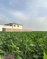 Aşağı Göndelende 181 Dönüm Tam Teşekküllü Çiftlik