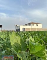 Aşağı Göndelende 181 Dönüm Tam Teşekküllü Çiftlik