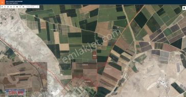 Çillerde 6 Lık Kuyulu Verimli Toprak 38 Dönüm Tarlamız