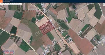 Cahı Mahallesi Kargacı Yolu Üzerinde Tam Teşkilatlı Çiftlik