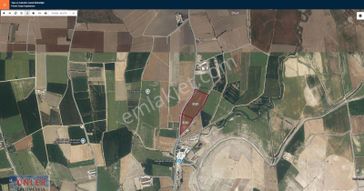 Türkmen Köyü Mezbahane Yanında 51 Dönüm Asfalta Cepheli Tarlamız Satılıktır.