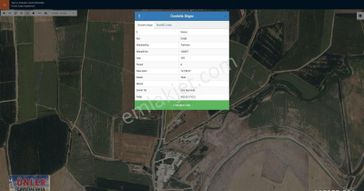 Türkmen Köyü Mezbahane Yanında 51 Dönüm Asfalta Cepheli Tarlamız Satılıktır.