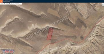 Konya Ereğli Çayhanda 52 Dönüm Tek Tapulu Tarla