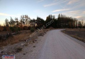 Hacımemiş Halkapınar Yolunda Satılık 5 Dönüm Tarlamız