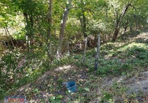 Büyükdede Mahallesi Girişinde Asfalt Ve Dereye Sıfır Bahçemiz