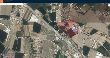 Konya Yolu Üzeri Asfalta 200 Metre Mesafede Tarlamız Satılıktır