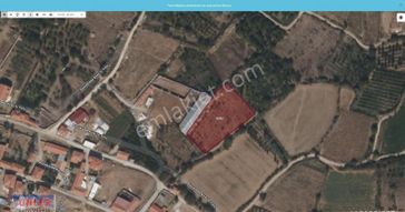 Büyükdede Mahallesinde Satılık Tarla