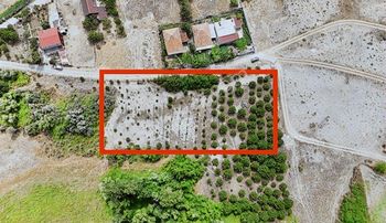 Samsun Bafrada Acil Satılık Denize Sıfır Villalık Arazi