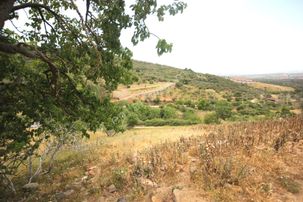 🔴 Aktiften Dutlucada Harika Manzaralı Satılık 751m2 Konut Arsası 🔴