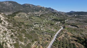 Datça, Sındı Mahallesinde Ana Yola Sıfır 2740 M².lik Arazi