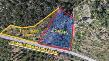 Datça, Sındı Mahallesinde Ana Yola Sıfır 2740 M².lik Arazi