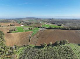 Yuvam Arsa Ofisinden Kandıra Aleflide 4.039mt