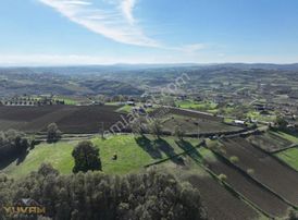 Yuvam Arsa Ofisinden Kandıra Aleflide 4.039mt