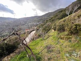 Tire Şahin Gayrimenkul’den Satılık İncirlik