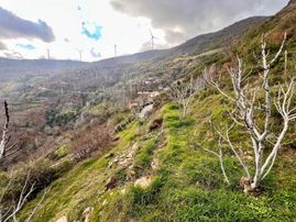Tire Şahin Gayrimenkul’den Satılık İncirlik