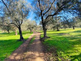 Vitrinden Tuzcumuratta 8 Dairelik 553 M2 4 Kat İmarlı Arsa