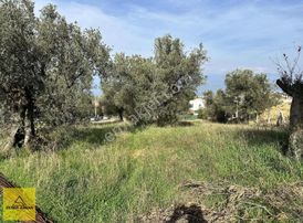 Pelitköy Denize 150m Mesafede 6 Villalık Arsa