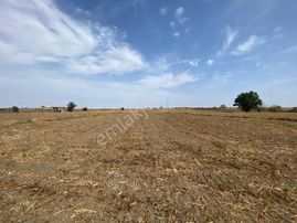 Lüleburgaz Çiftlikköy'de Asfalta 50m Yakın Yatırımlık Arazi