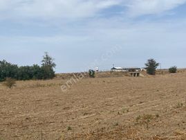 Lüleburgaz Çiftlikköy'de Asfalta 50m Yakın Yatırımlık Arazi