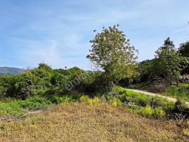 Akçakoca Subaşında İmarlı Satılık 2.824 M2 Arsa