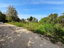 Akçakoca Subaşında İmarlı Satılık 2.824 M2 Arsa