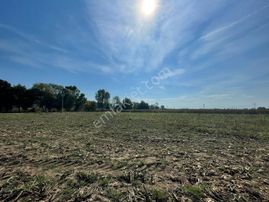 Hendek Sofular'da 3888m2 Satılık Tarla