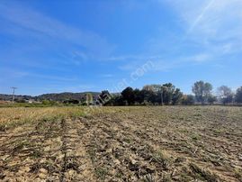 Hendek Sofular'da 3888m2 Satılık Tarla