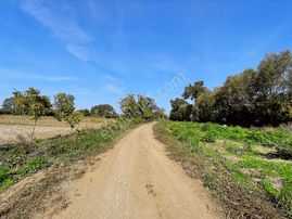 Hendek Sofular'da 2475m2 Satılık Tarla