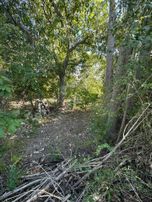 Kaş Akörü'de Yola Cepheli Satılık Tarla