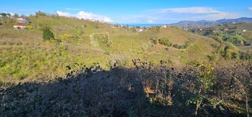 Alembey Mah Ordu Ve Deniz Manzaralı 2 Dönüm Fındık Bahçesi