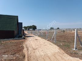 Evrenli Merkez'de Köy İçinde Etrafı Çevrili Satılık Parseller