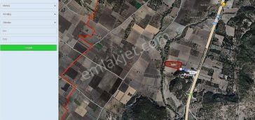 Mir'den Manisa Gelenbe'de Getirisi Yüksek Satılık Zeytinlik