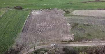 Altıeylül Taşköy Mahallesinde Satılık Tarla