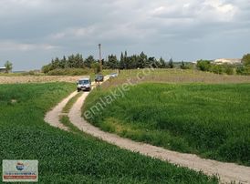 Vize Evrenli Çevre Yolu Asfalta 500 Metre Mesafede Satılık 291 M2 Tarla