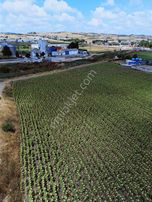 Balkan Mahallesinde Sanayi İmarlı Arsa