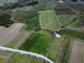 Koçak Group'tan Göl Manzaralı Tarla