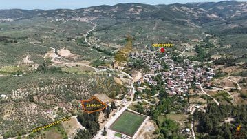 Koçak Group'tan Dereköy'de Yatırımlık Zeytinlik