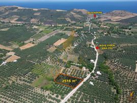 Koçak Group'tan Ana Yola Cephe Dutluk Ve Zeytinlik