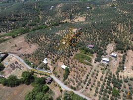 Koçak'tan Dereköy'de Köye Yakın Yatırımlık