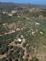 Koçak'tan Trilye'de Yapı Kayıtlı Bağ Evi