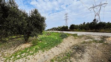 Mudanya / Yaylacık'ta 3.700 M² Kaçırılmayacak Fırsat Tarla