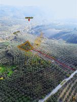 Koçak'tan Bakımlı Fırsat Zeytinlik