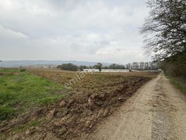 Tapu54 | Adapazarı Karadere Mah. Satılık 2247 M2 Tarla