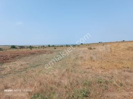 Saray Çukuryurtta Müstakil Tapulu Mera Cepheli Tarla