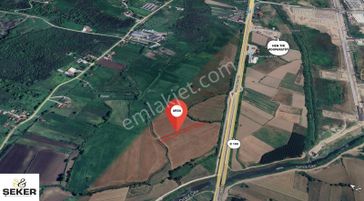 19- Şeker Emlak Satılık 2.900 M2 Osb Karşısı Hobi Bahçesi