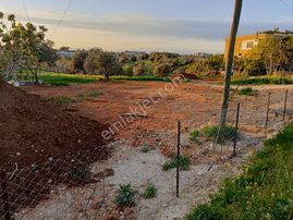 Sarıçam Mustafalar Yerleşim Yeri İçinde 1220 M² Değerli Arazi